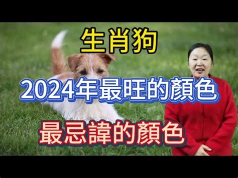 生肖狗幸運色|2024年属狗的幸运色和禁忌色